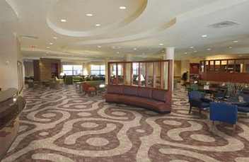 best Commercial and industrical carpet cleaning company