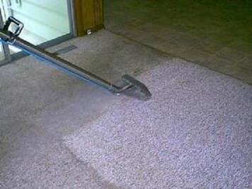 Carpet cleaners in oakville on